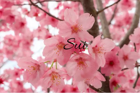 Sui prenom japonais fille rare 2